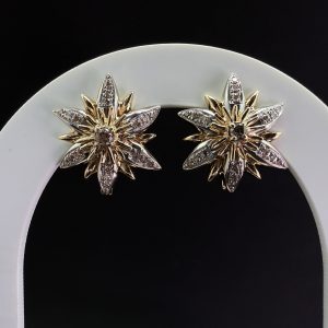 Сережки