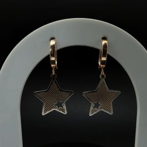 Сережки